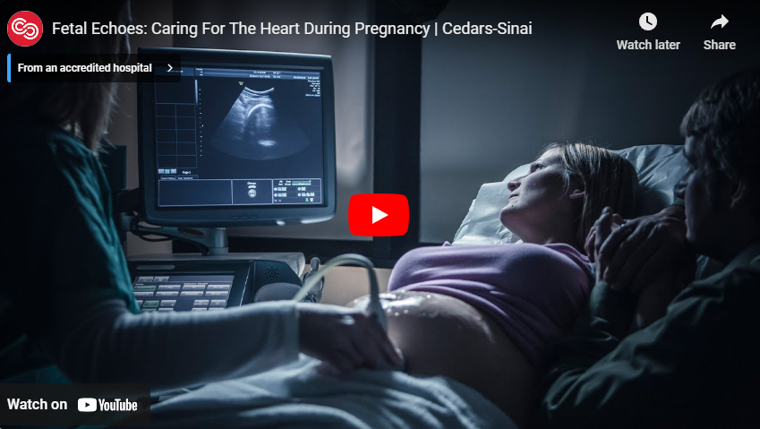 featured article